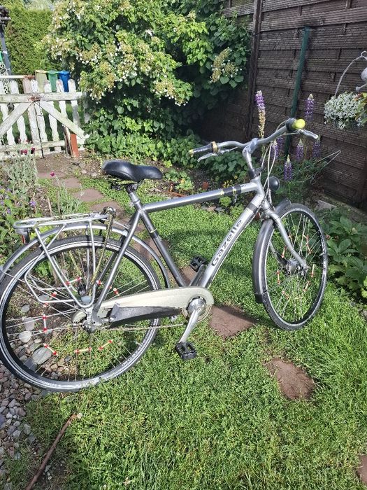 Holenderski rower GAZELLE