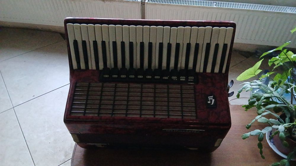 Аккордеон под ремонт