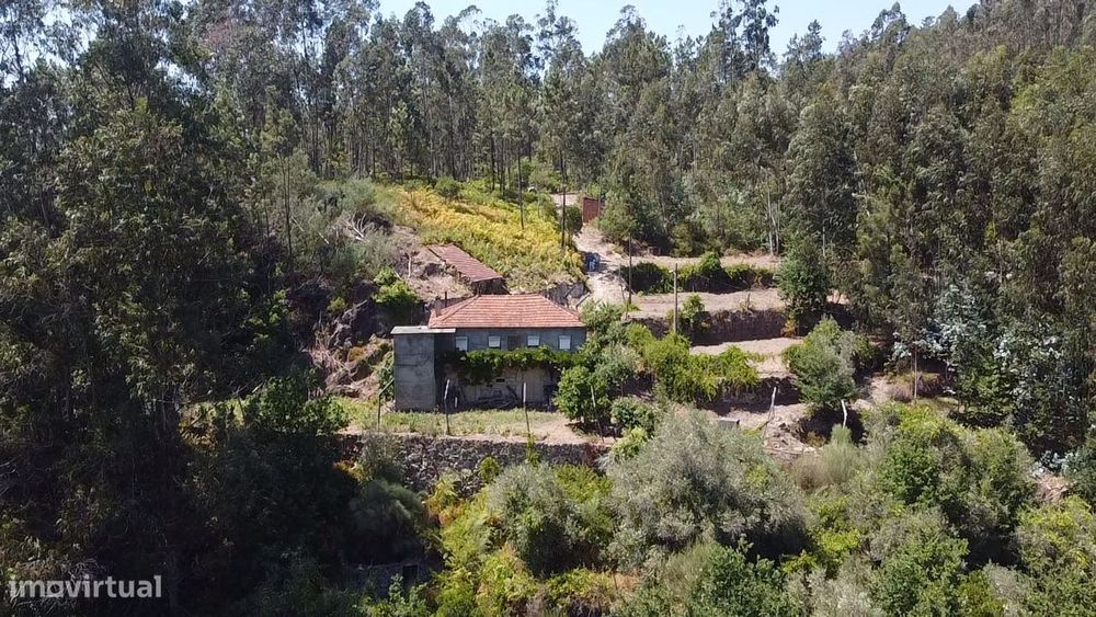 Quinta c/ moradia p/ restaurar – São Pedro do Sul