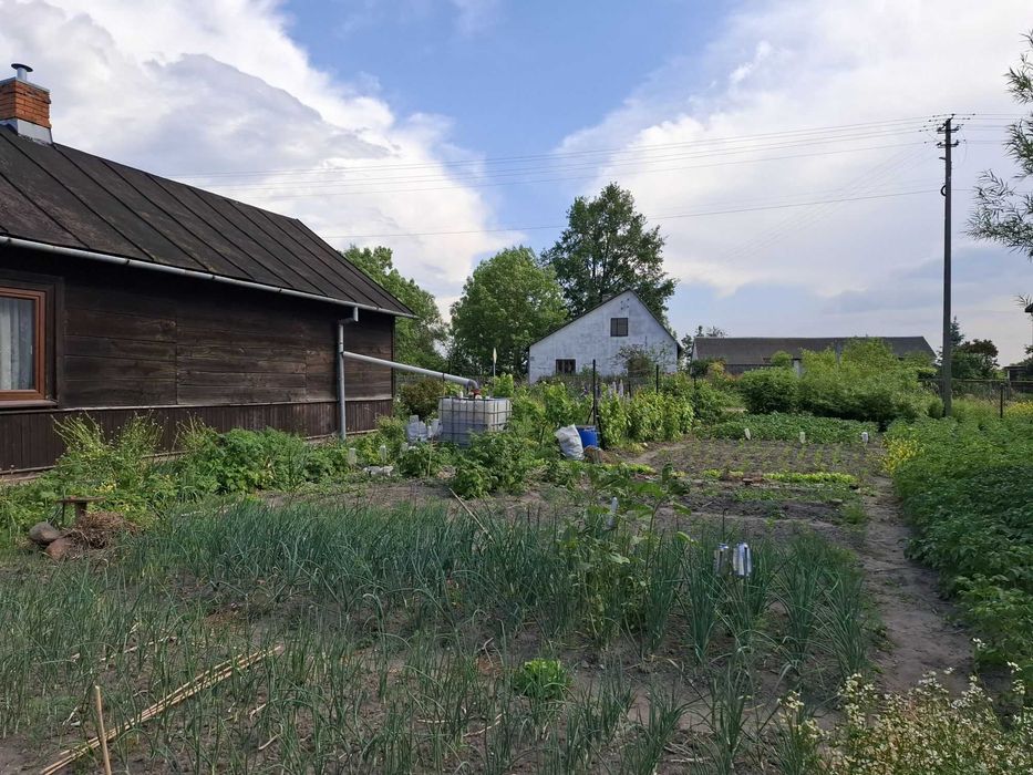 Siedlisko na działce 6900m2