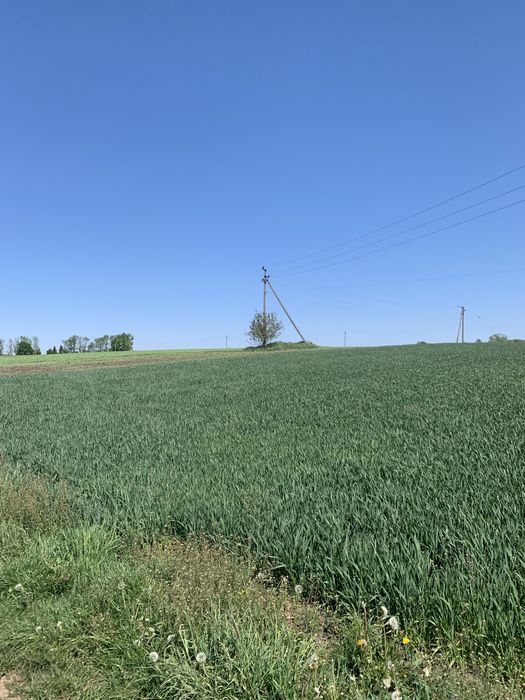 Панорамна земельна ділянка поблизу Тернополя