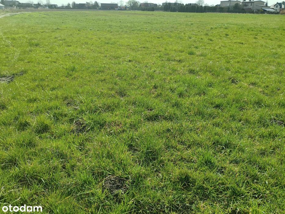 Na sprzedaż atrakcyjna działka budowlana – Mikołów (Paniowy)