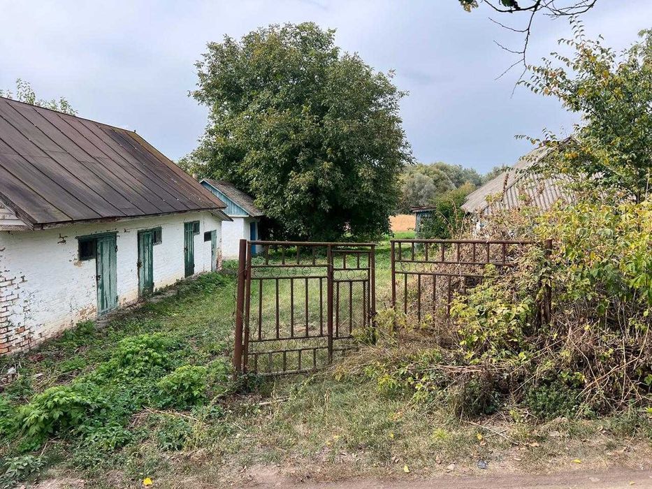 Будинок,Вільшана,земельна ділянка