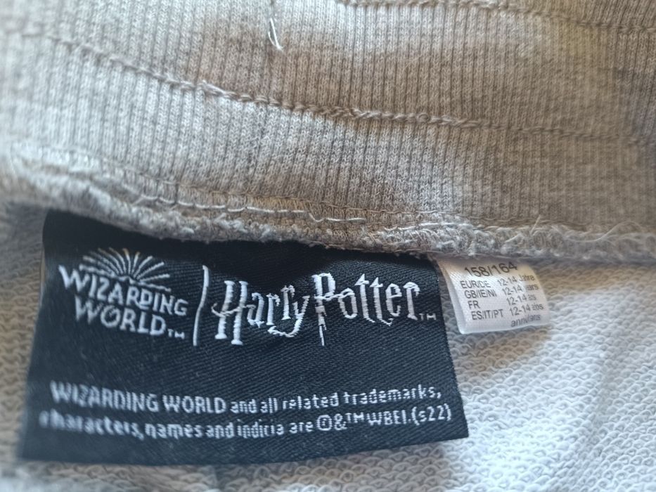Spodnie dresowe szare Harry Potter 158-164
