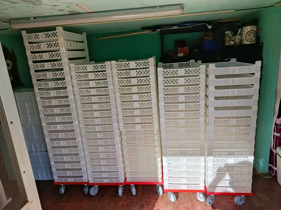 Plastic Trays454611962210570240