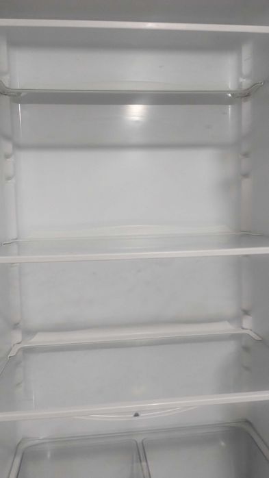 Холодильник Снайге RF390-1803A