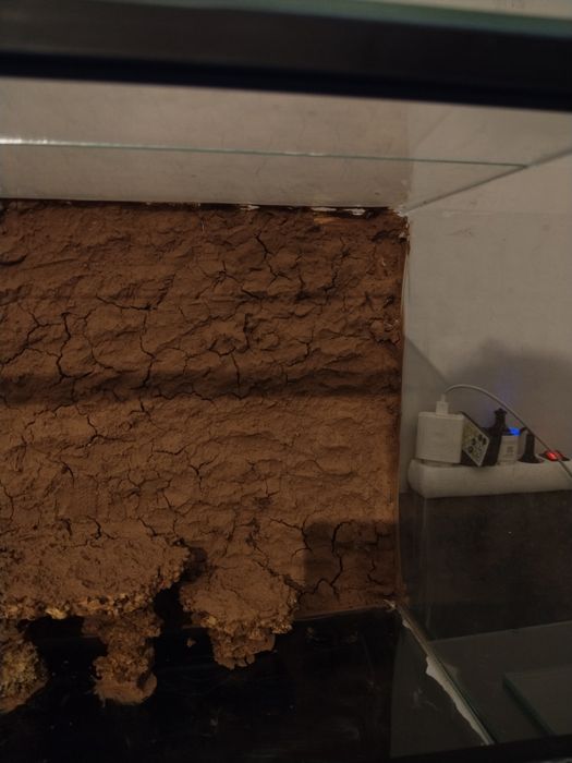 Sprzedam terrarium o wymiarach 50 × 30 × 30 cm