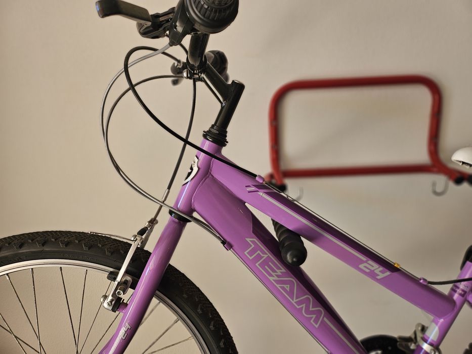 Bicicleta TEAM F4 Shimano