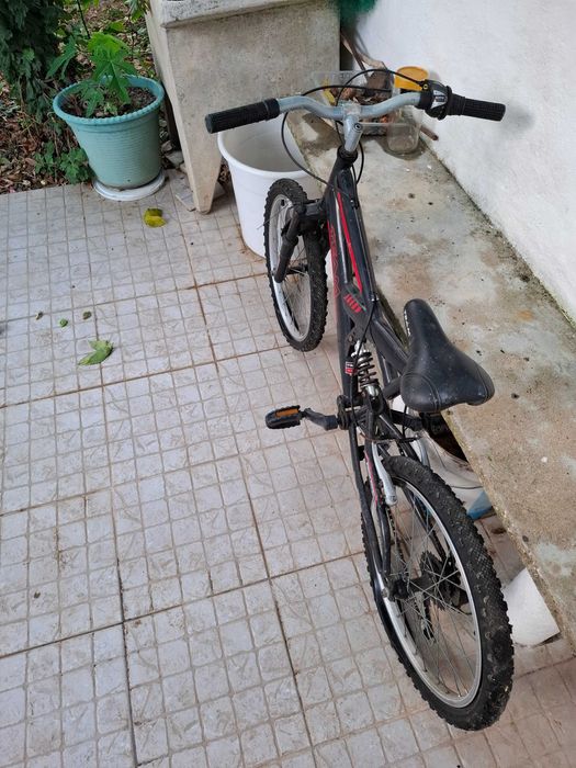 Bicicleta de criança TEAM - DS 220