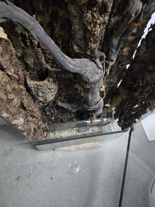 Terrario/Paludário Vertical 150cm