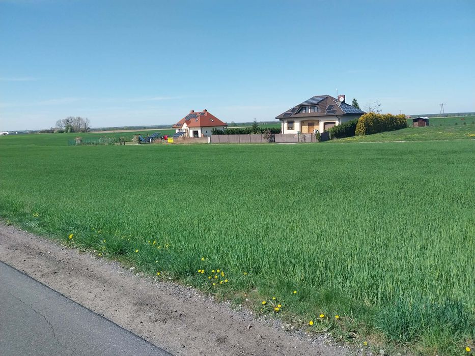 Sprzedam Dzialke