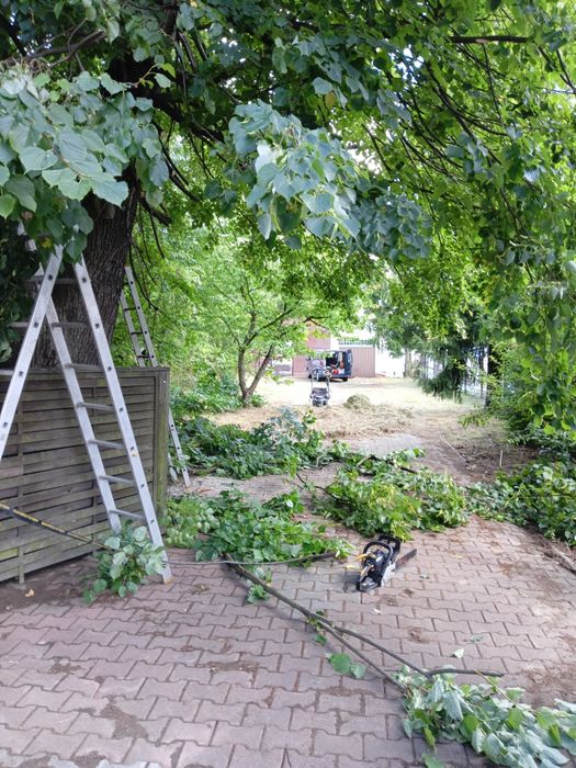 Koszenie , karczowanie, sprzątanie działki ,  tereny zielone