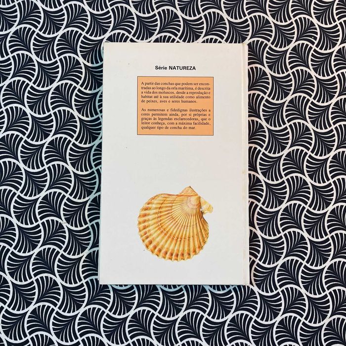 Conchas do Mar - Texto de Jorgen Moller Christensen