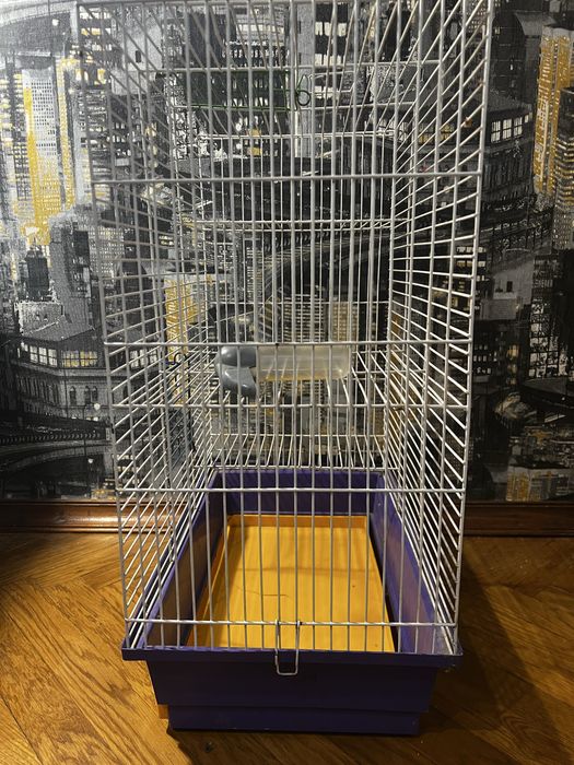 Клітка для гризуна