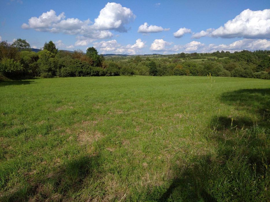 Działka rolno-leśna 1,61 ha w Lipowcu