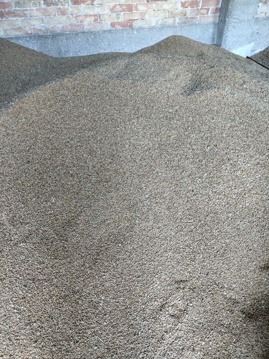 Pszenica ozima sprzedam