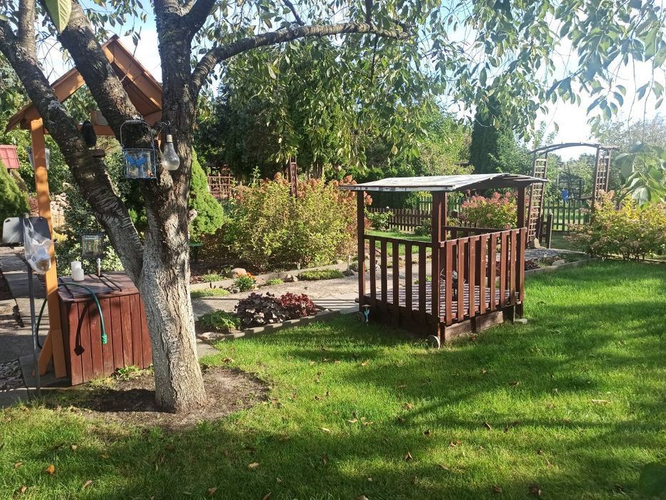 Działka ROD 40-lecia W.P.