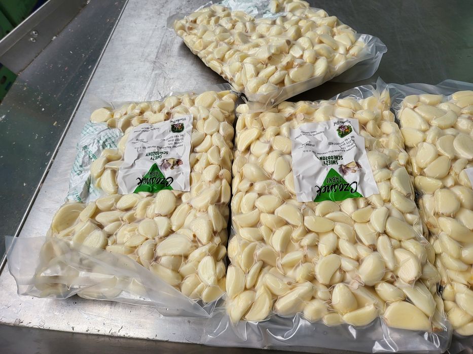 Czosnek obierany ząbek