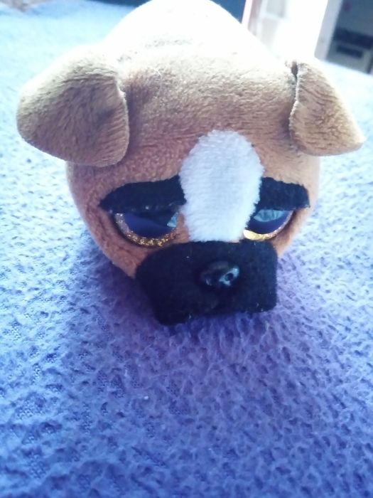 Мягкая игрушка милой маленькой собачки