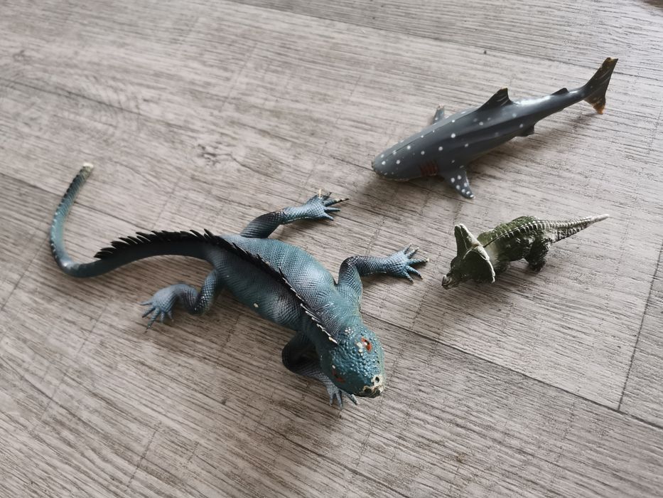 Dinozaury i rekin