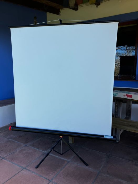 Projection Screen445124995365611520