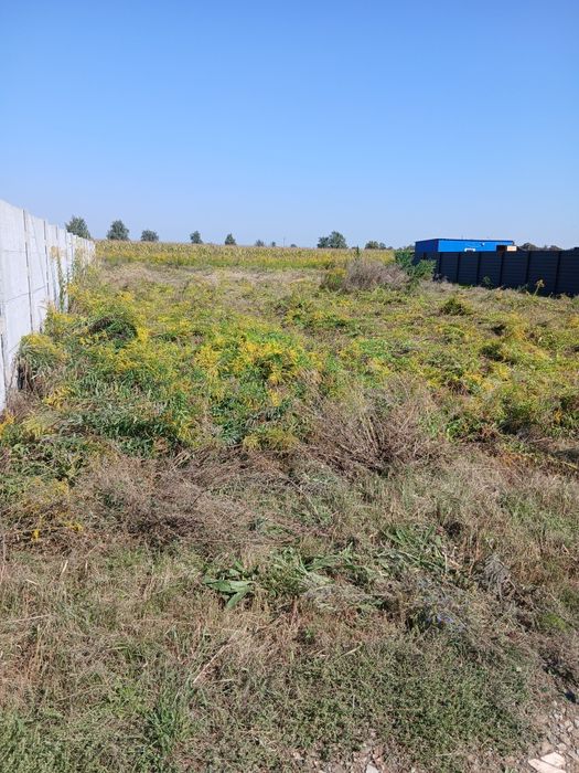 Ділянка 6 сотих  СУПЕР ЦІНА село  Петропавлівське Бори