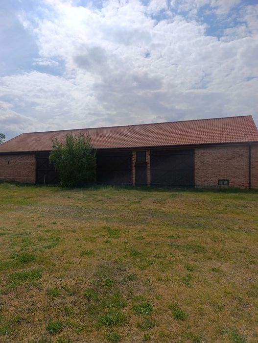 Magazyn 260 m², plac,parking 5000m