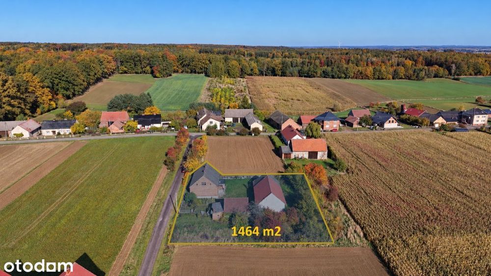 Dom przy lesie|spokojna okolica|piękne widoki