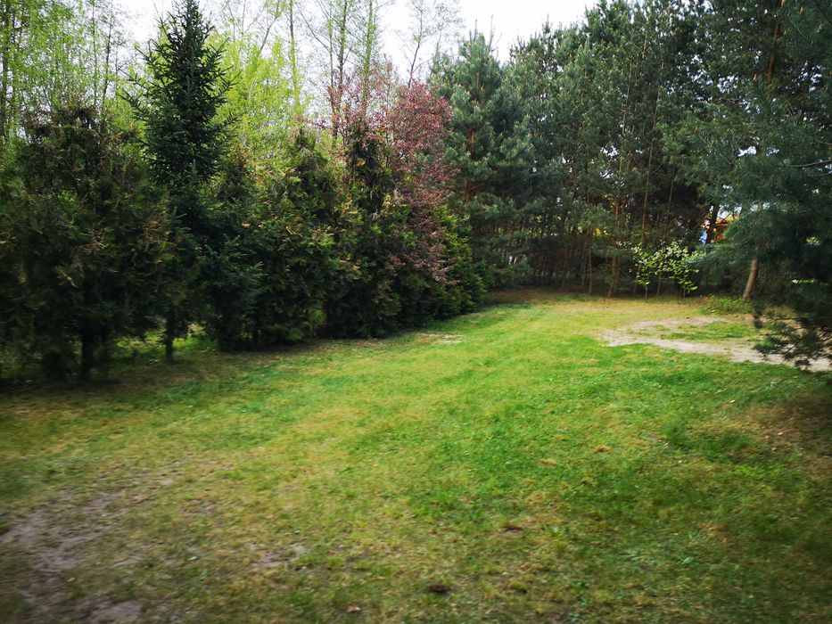 Domek nad jeziorem 2-16os 62-550 Zyg. Święta Boże Narodzenie wolne las