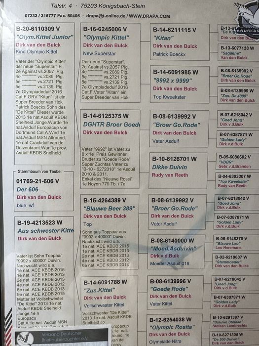 Gołąb młody 100% A . Drapa 2026