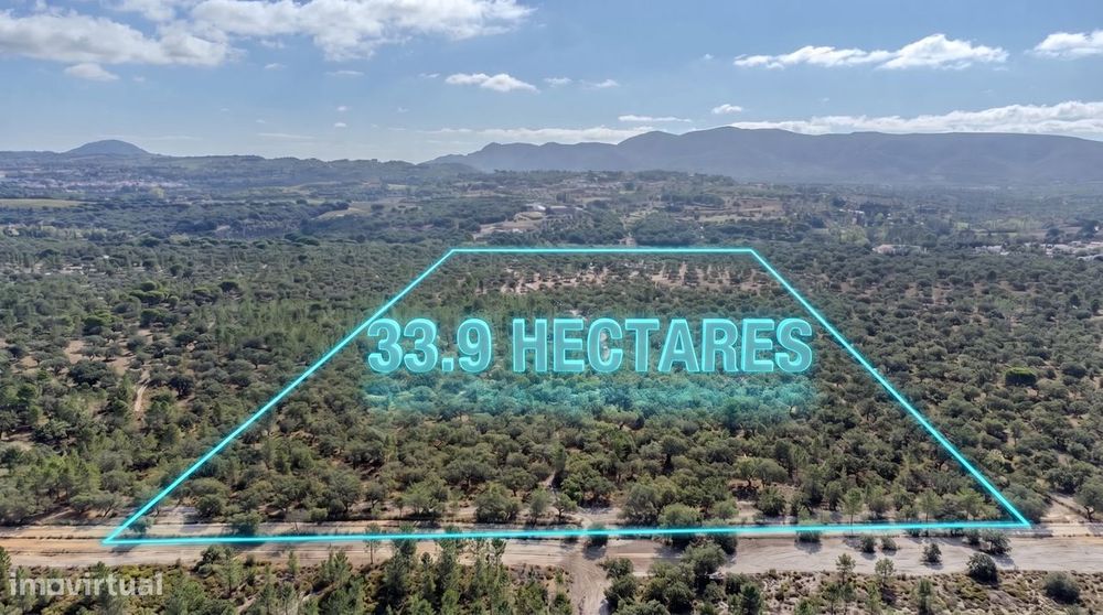 Rustic Land Plot of 339,000 m² in Arrábida, Adjacent to Quinta do Peru, with