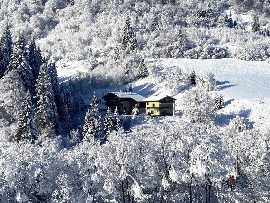 Лісова казка у пані Стефанії  Котедж , відпочинок в Карпатах, Славське