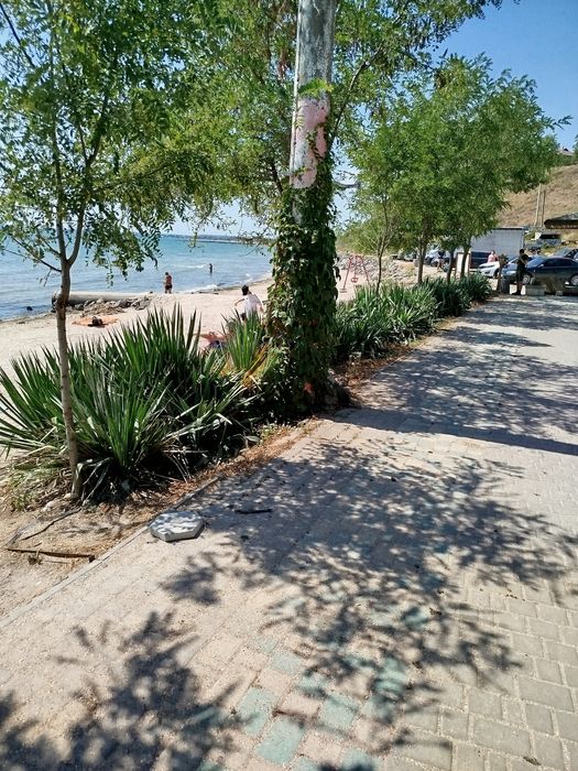 Дом по адресу (площадь 55 м²) - Atlanta.ua - фото 2