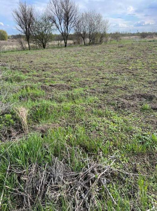 Пропоную до продажу земельну ділянку с. Ч. Слобода