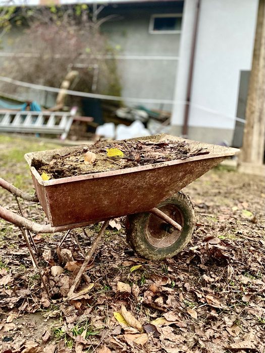 Sprzedam obornik koński