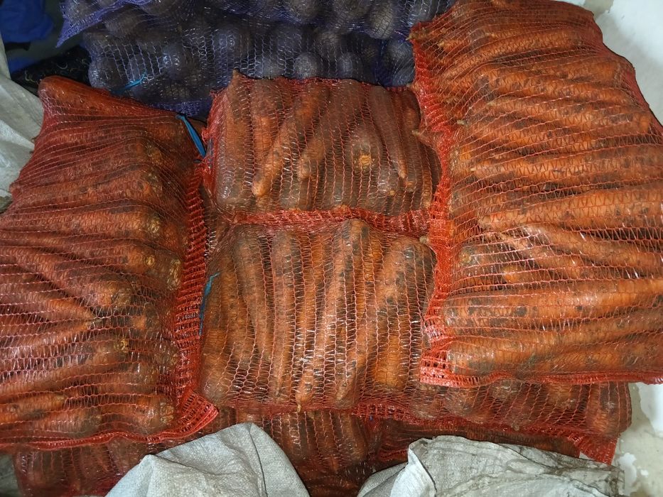 Продам моркву та буряк.