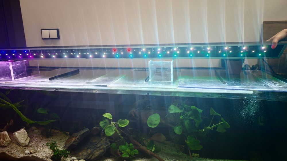 Belka Led RGB 170cm