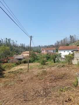 Limpezas de terrenos