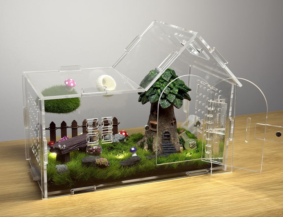 Terrarium dla skakuna pająka
