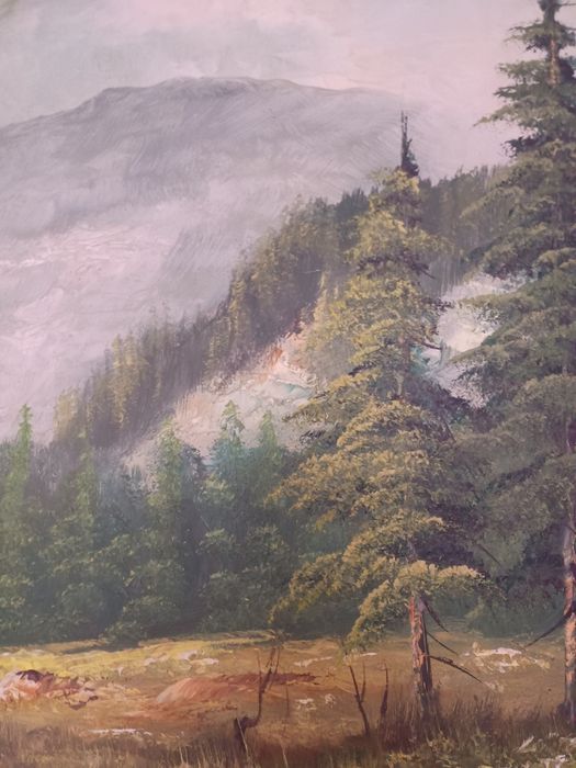 Pejzaż górski - olej/płótno - Fritz Zschiesche
