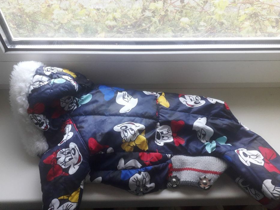 Одежда для собак