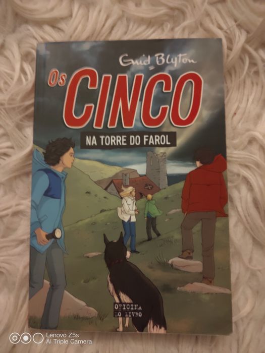 Livros Juvenis Vários
