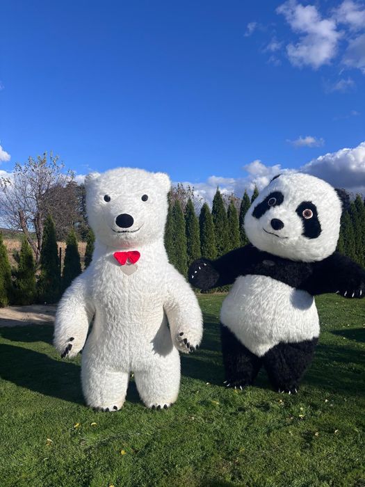 Wynajem dmuchanego misia  Pande i stitcha