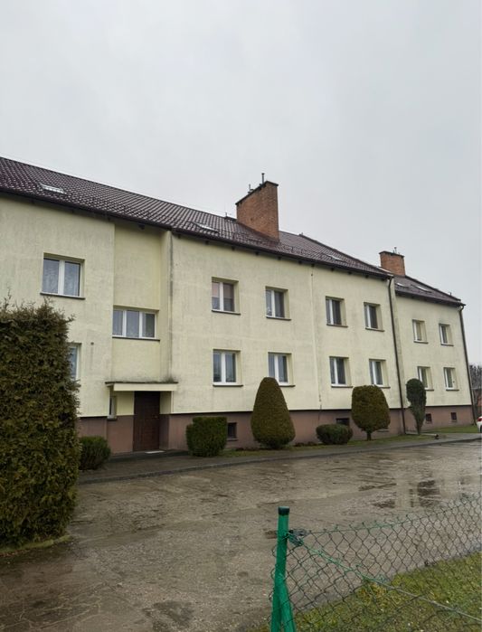 Mieszkanie 56m² + dzialka 498m²