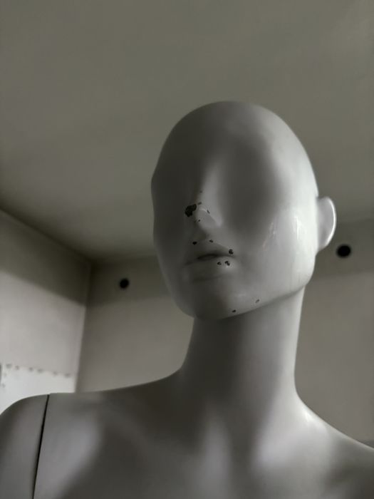 Manequim feminino completo