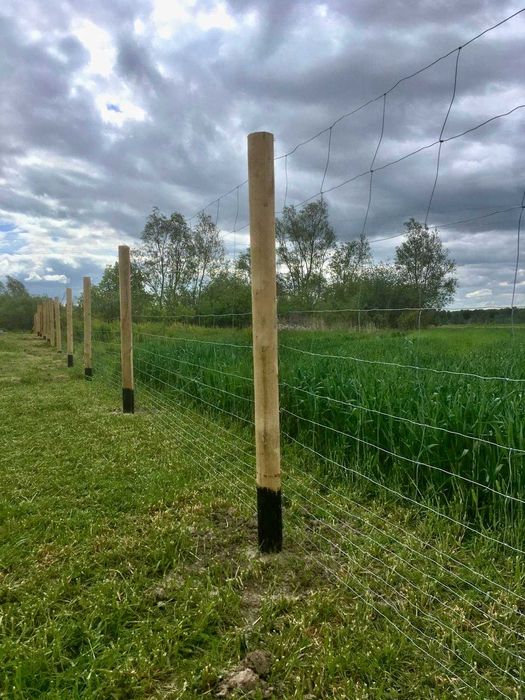 Ogrodzenie budowlane tymczasowe - Siatka leśna , płot budowlany