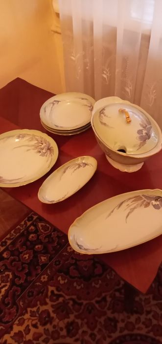 Баранівський фарфоровий завод