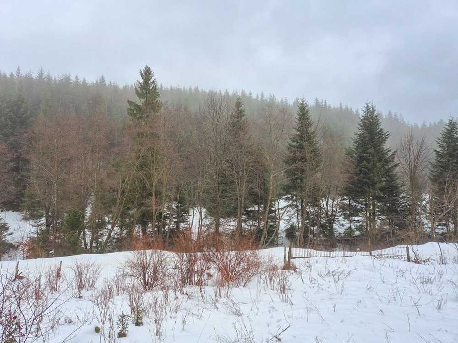 Будинок з ділянкою біля гір