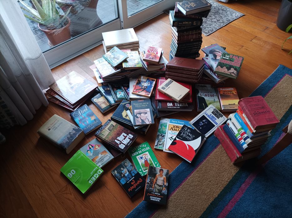 Livros variados para todos os gosto
