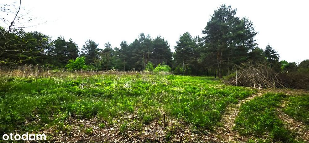 Piękna działka pod lasem Szczęsne - Widok 3